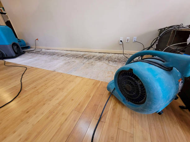 Reliable Basement Flood Cleanup contractor in Gulf, NC by Hirex Water Damage