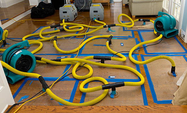 Professional Basement Flood Cleanup technician working in Gulf, NC
